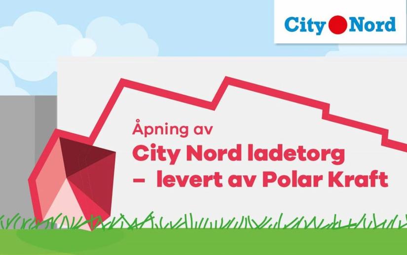 Ladetorg Polar Kraft