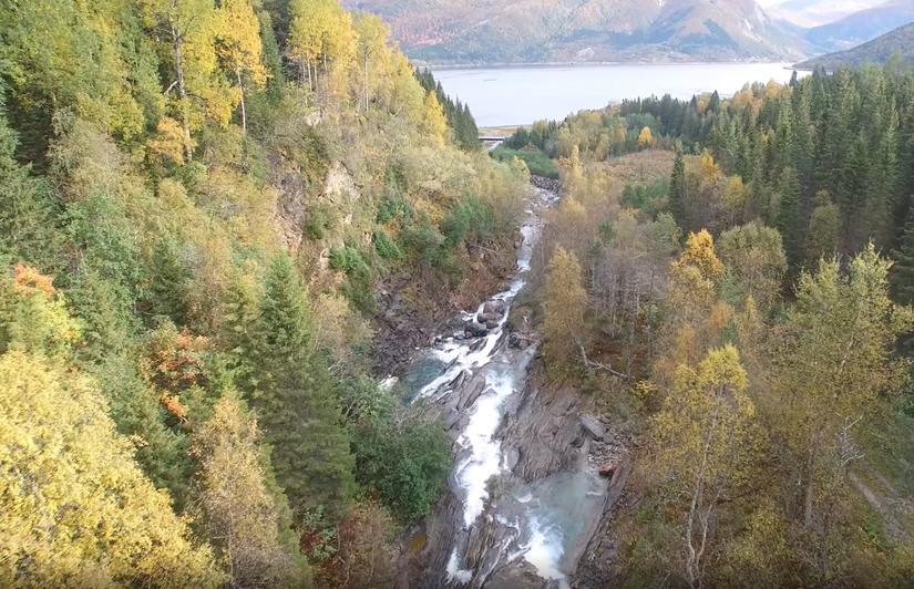 Breivikelva renner ut i Beiarfjorden: Foto SKS