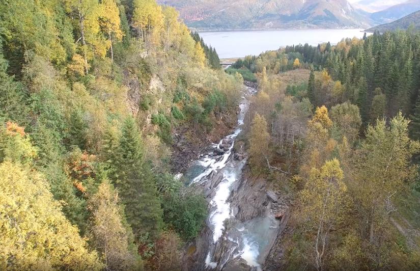 Breivikelva renner ut i Beiarfjorden: Foto SKS