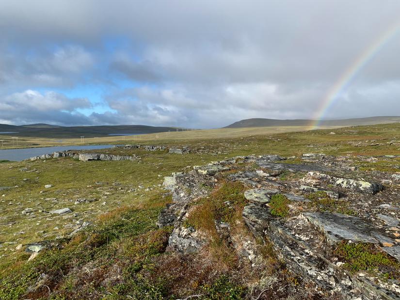 Skarvberget